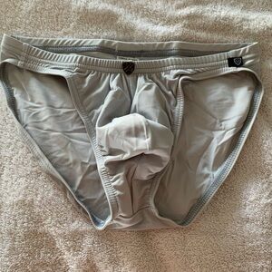 Gregg Homme swim brief gray